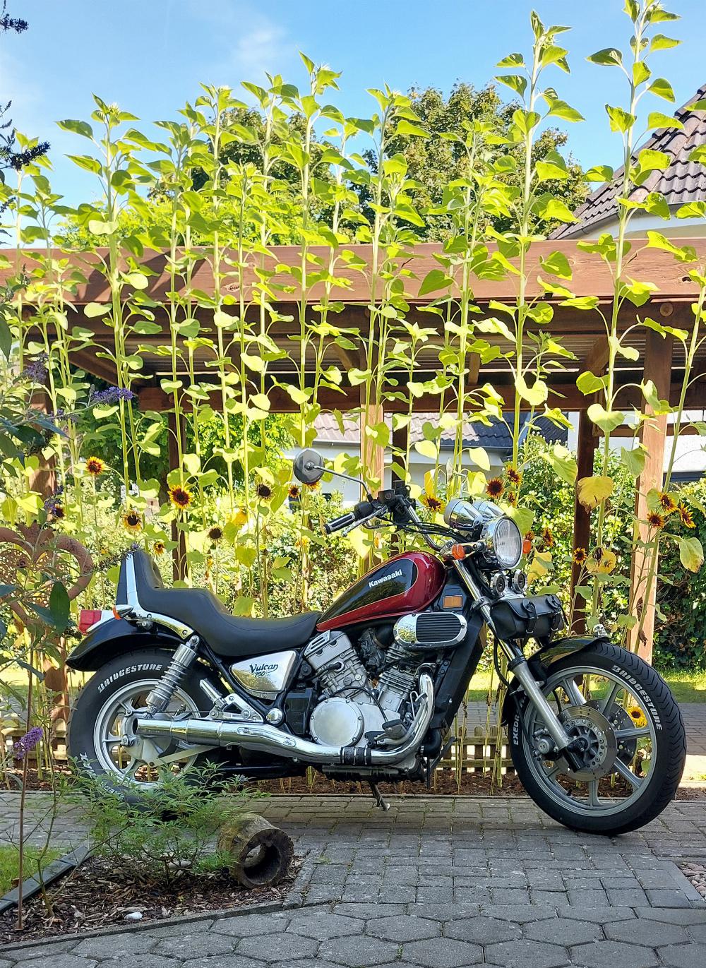 Motorrad verkaufen Kawasaki Vn 750 Ankauf